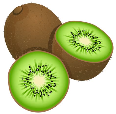 clip art kiwi|free kiwi clip art images.